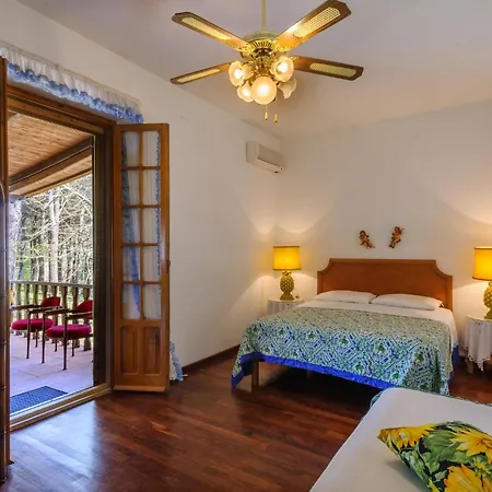 4 Bedroom Pet Friendly In *