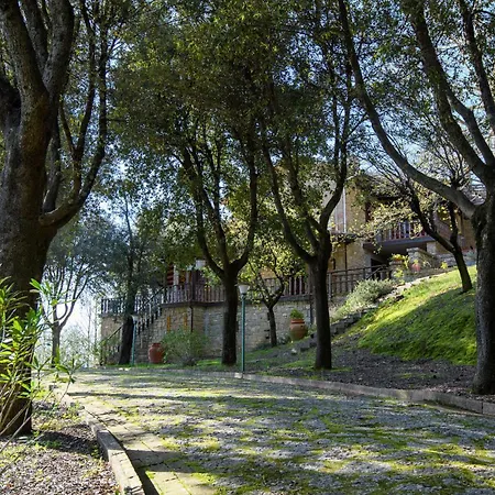 4 Bedroom Pet Friendly In